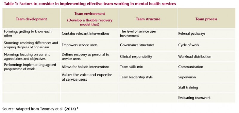 mental health team